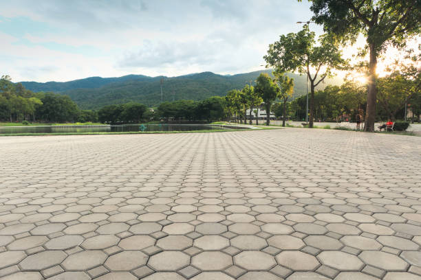 Best Local Driveway Pavers  in Los Molinos, CA